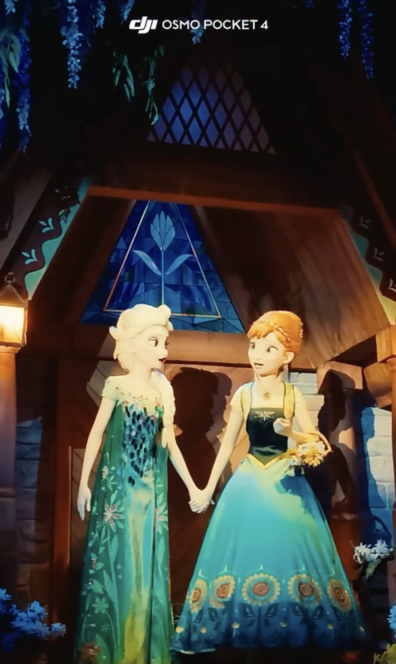 Elsa 和 Anna